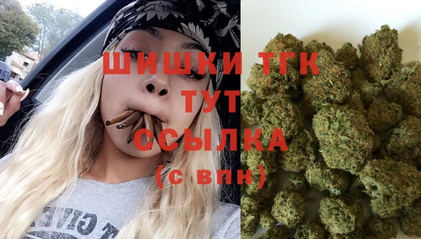 гашик Заволжск