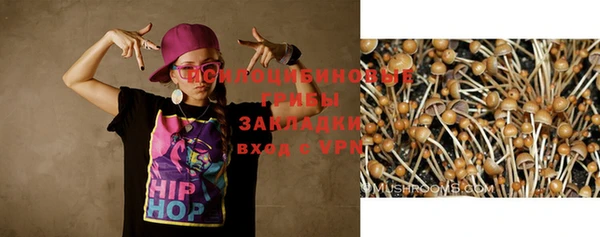 гашик Заволжск