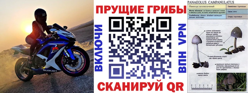 Купить где  Топки  Галлюциногенные грибы ЛСД 
